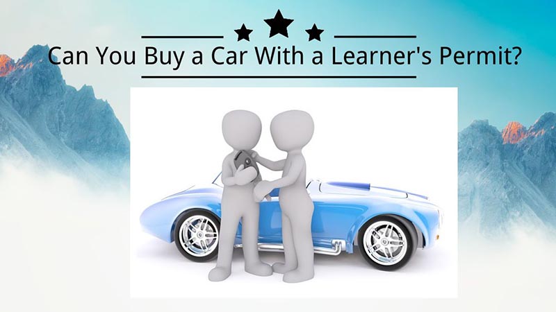 Can You Buy a Car With a Learner's Permit Tips for Buying 